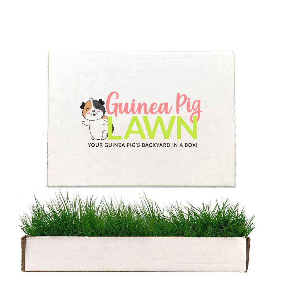 Guinea Pig Lawn