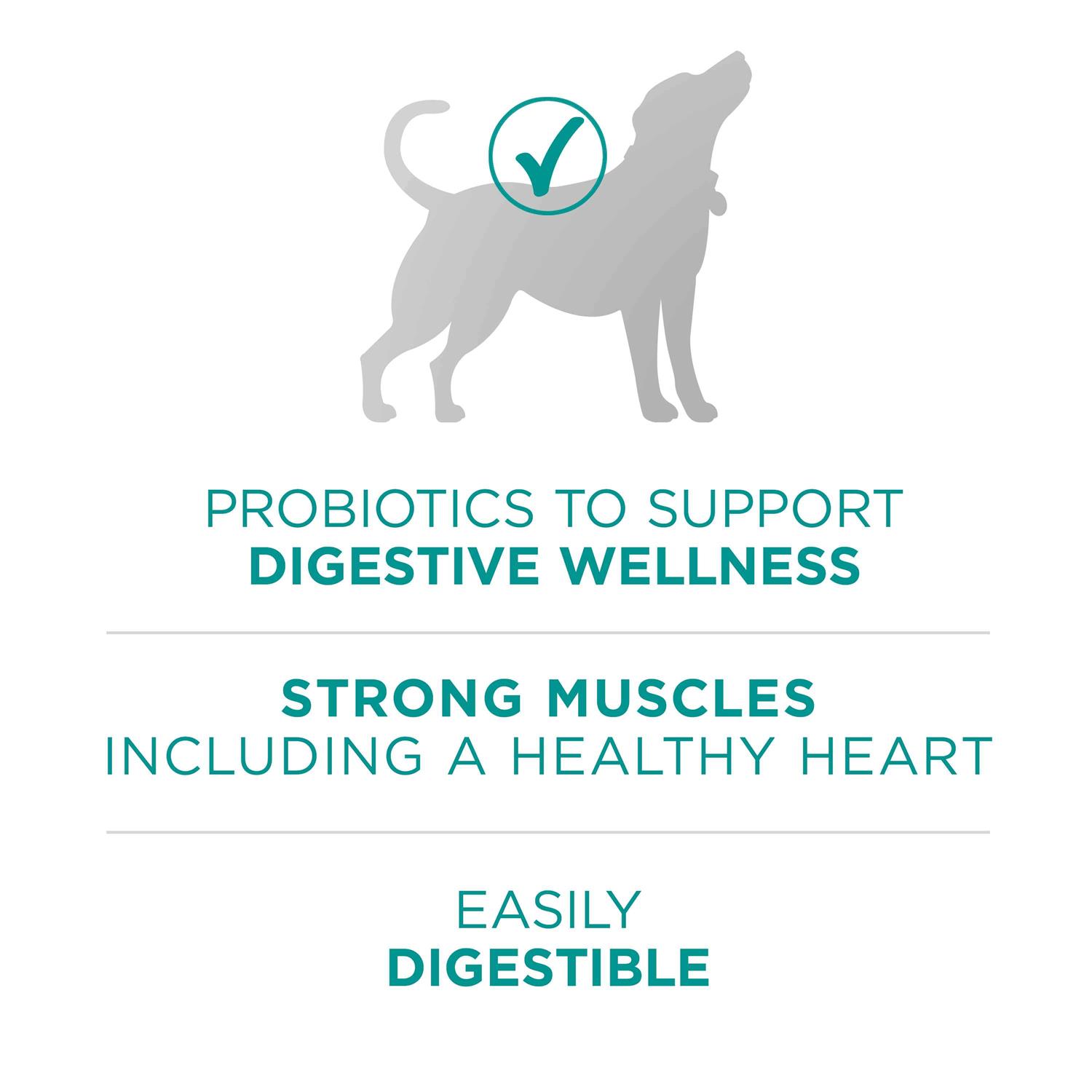 Purina ONE Digestive Health Dry Dog Food