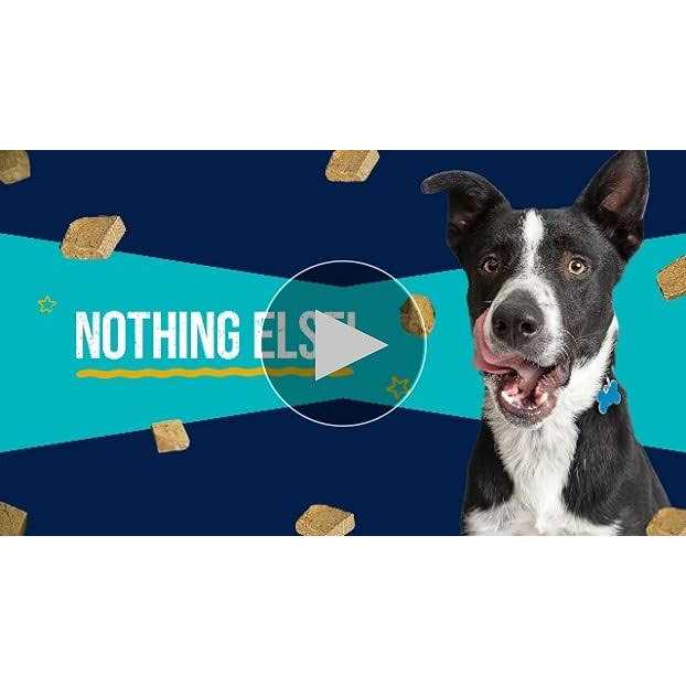 Stewart Chicken Freeze Dried Dog Treats