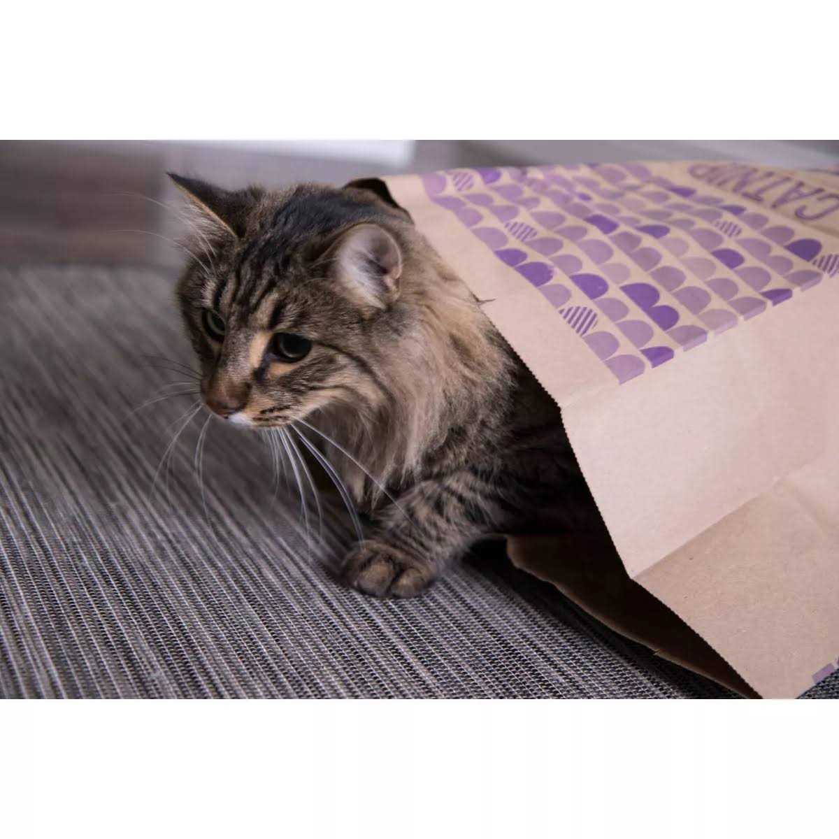 SmartyKat Catnip Caves