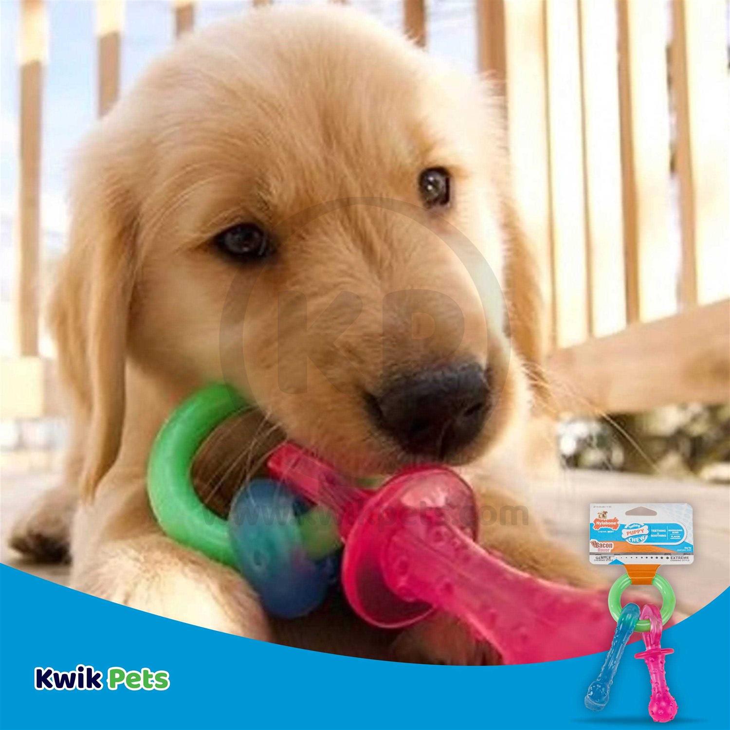 Nylabone Puppy Chew Teething Pacifier