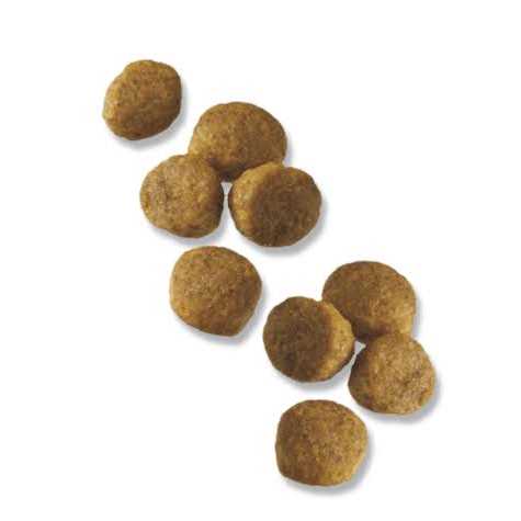 Purina Pro Plan Chicken & Rice Formula Puppy Small Breed Dry Dog Food