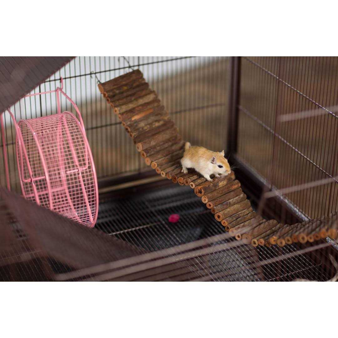 Prevue Rat & Chinchilla Cage