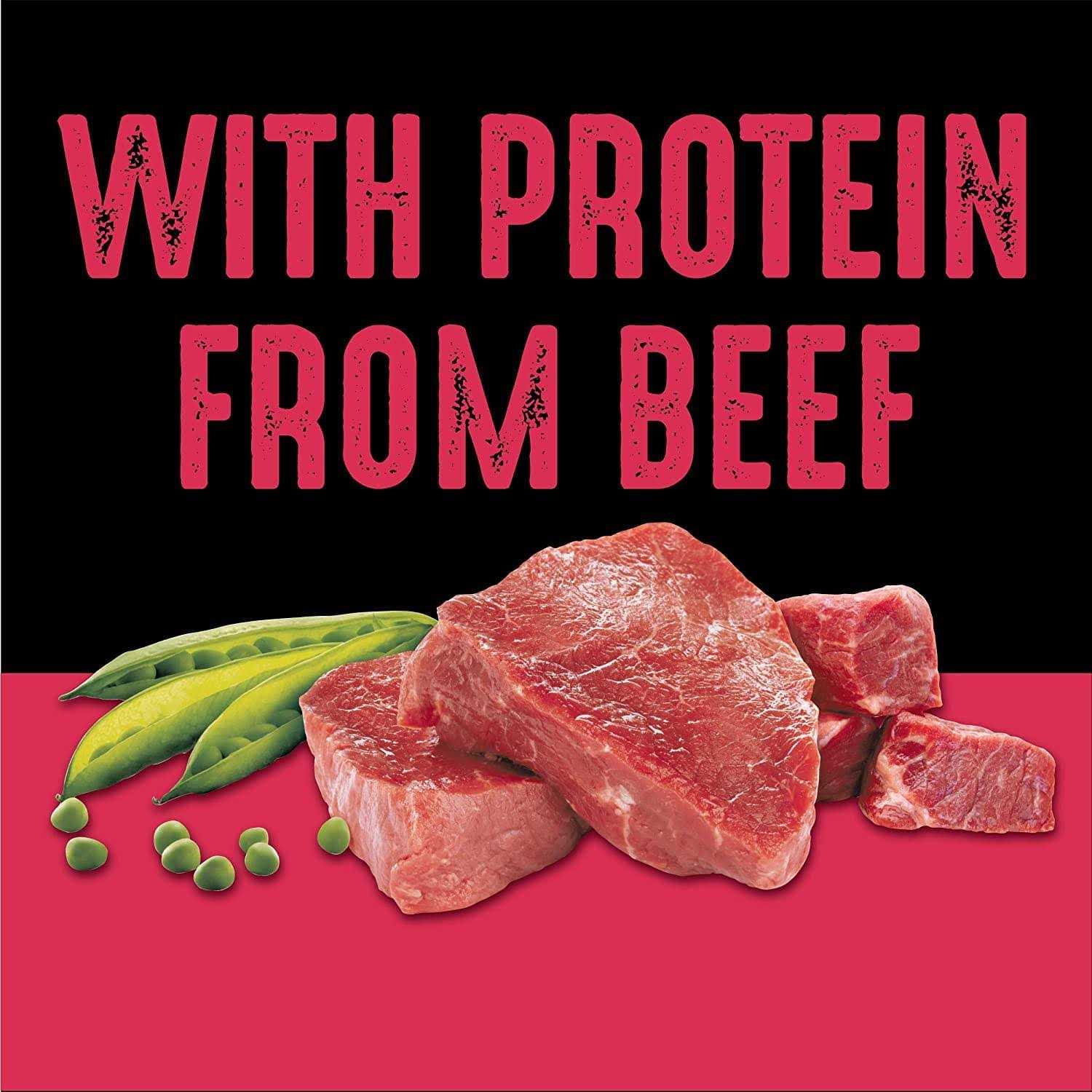 Crave Grain Free Adult Dry Dog Food with Protein