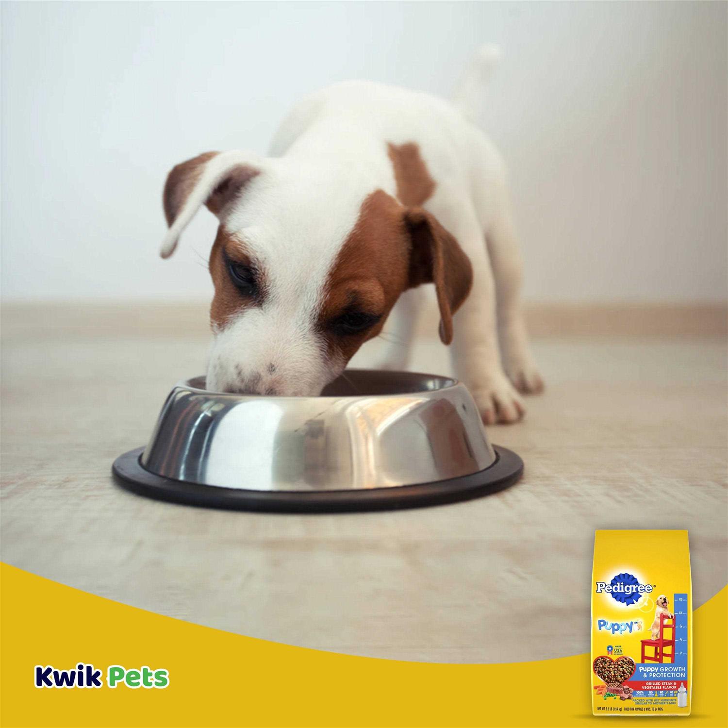 Pedigree Puppy Growth & Protection Dry Dog Food Vegetable Flavor