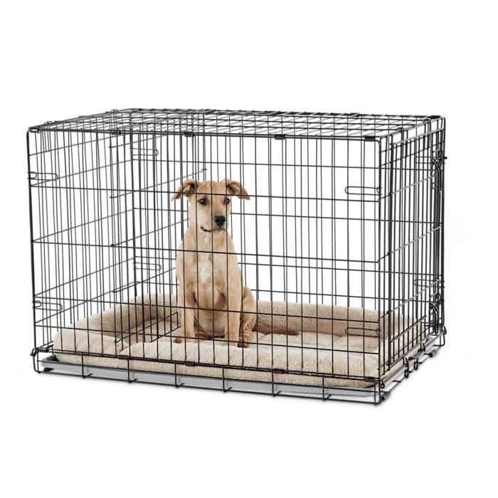 EveryYay Dog Crate