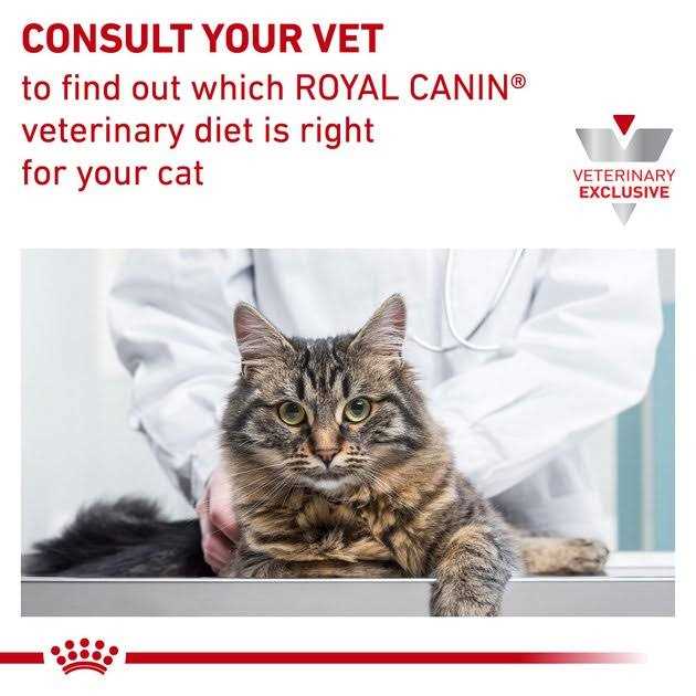 Royal Canin Veterinary Diet Feline Satiety Support Weight Management Adult Cat Loaf in Sauce Wet Food –