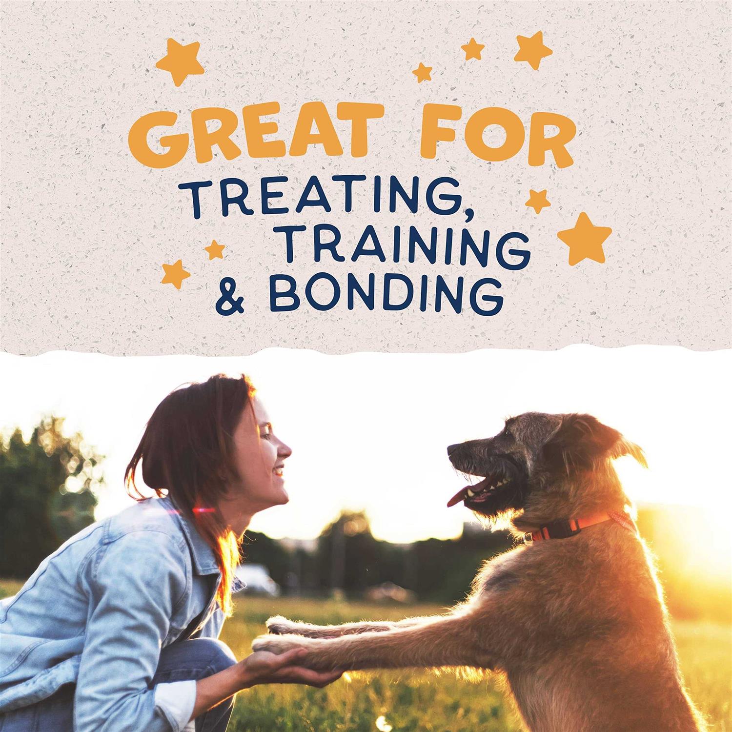 Natural Balance Rewards Jumpin’ Stix Dog Treats