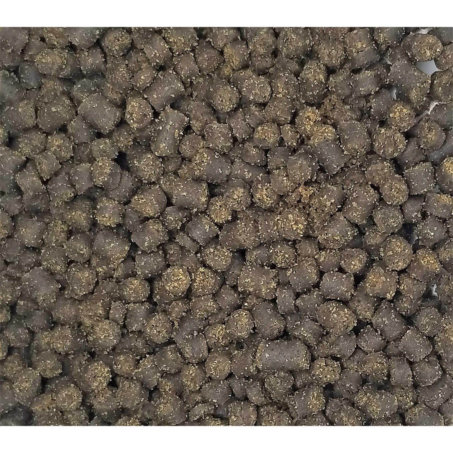 Invert Aquatics Soft Pellets for Axolotls Moist Sinking Diet for Axolotl