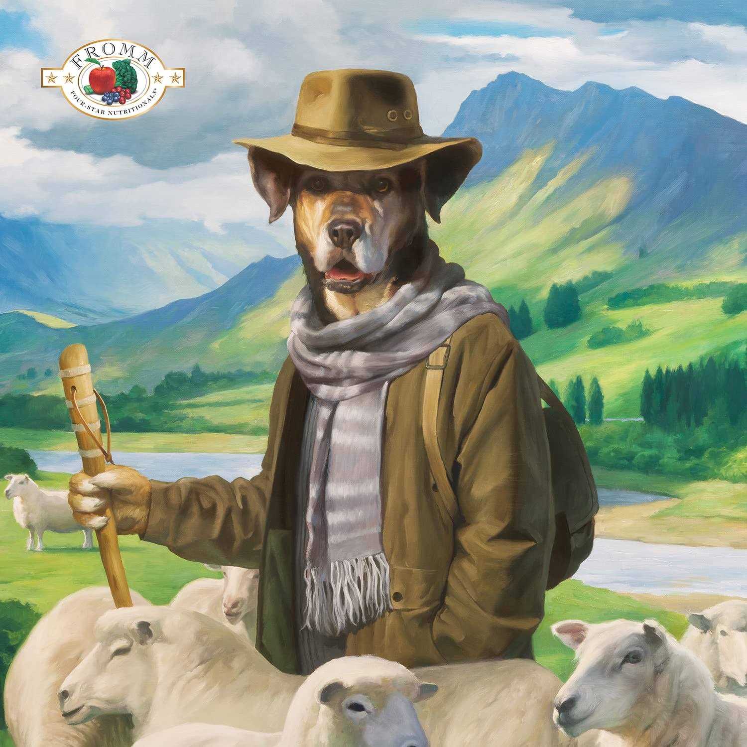 Fromm Four Star Dry Dog Food Zealambder Recipe