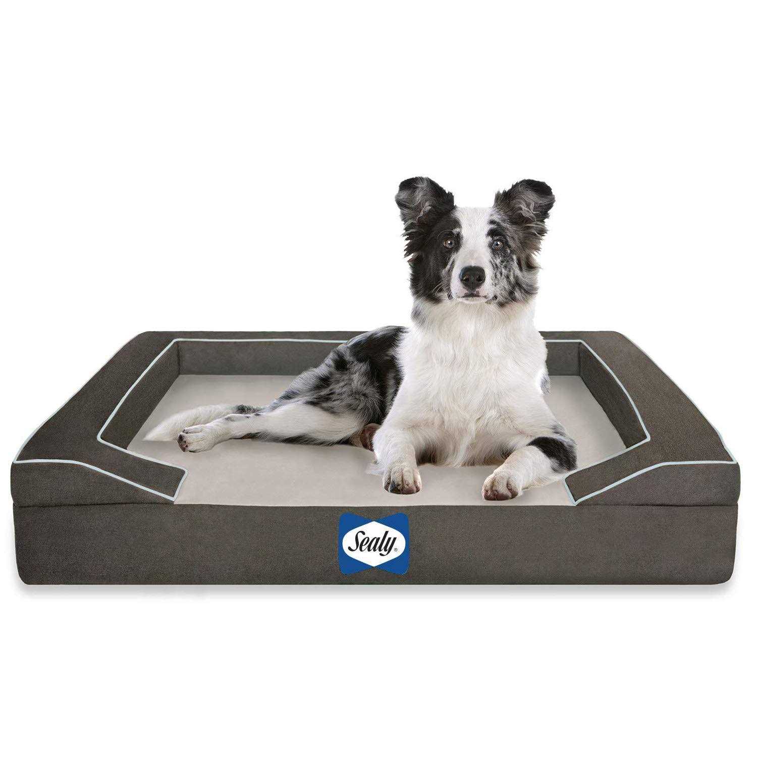 Sealy Lux Orthopedic Memory Foam Dog Bed