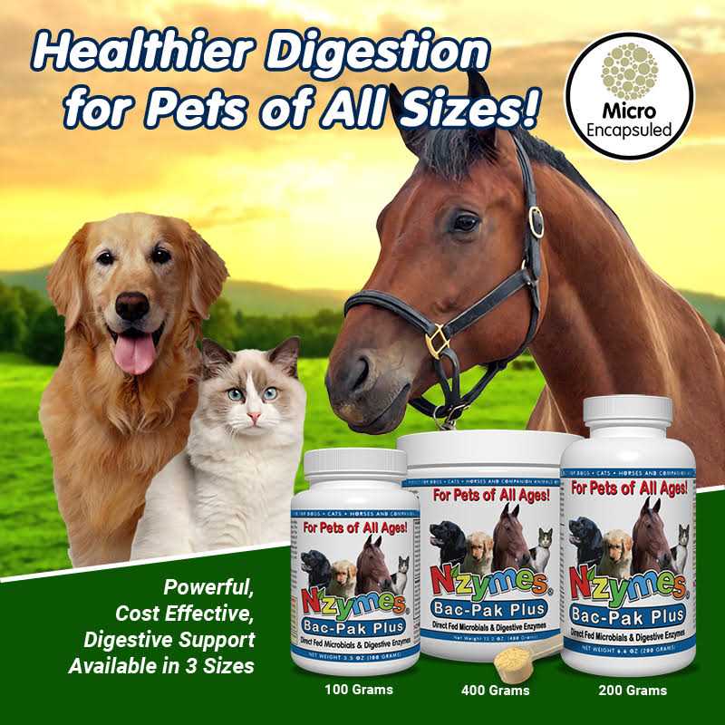 Nzymes Bac-Pak Plus 400gm for Pets