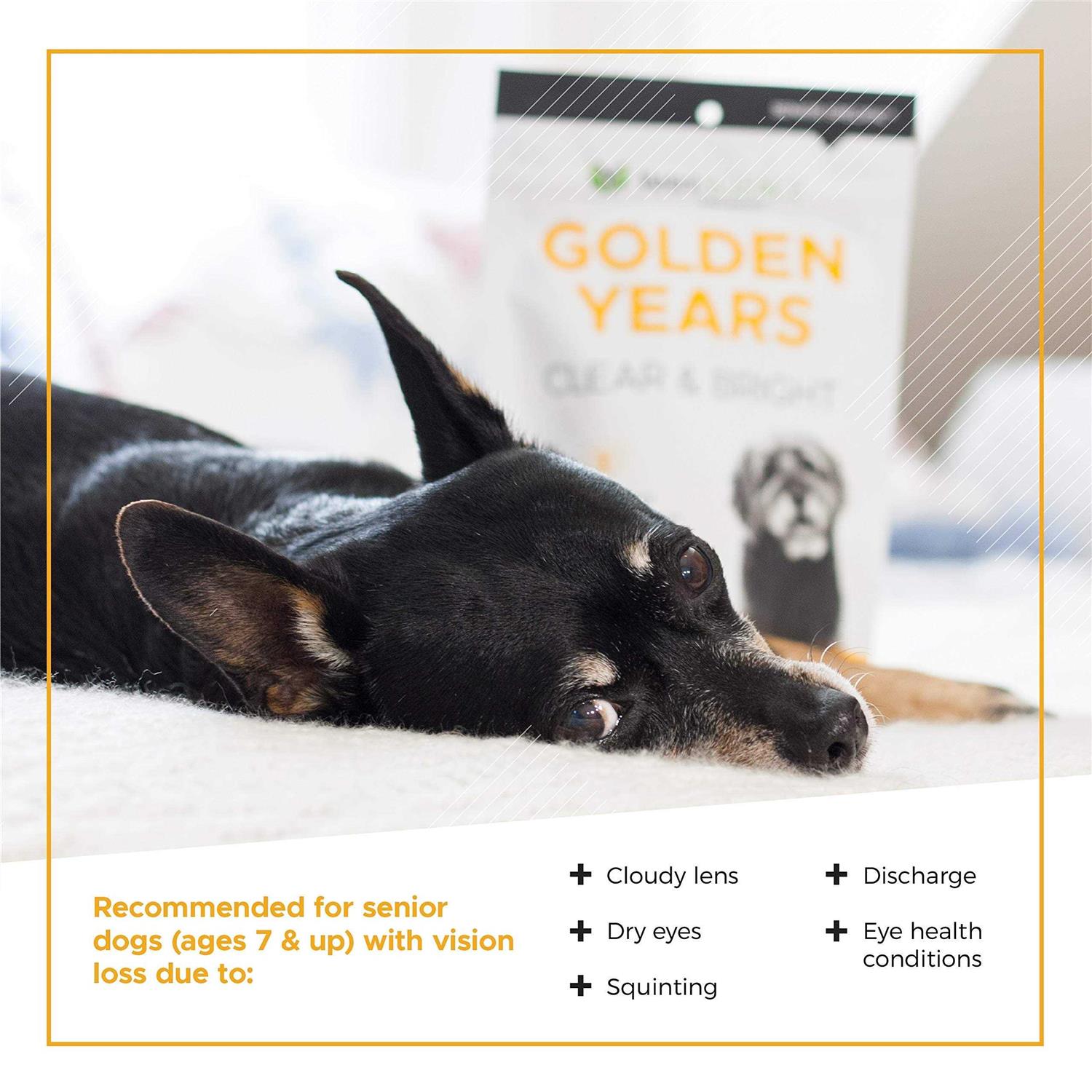 VetriScience Golden Years Clear & Bright Supplement for Dogs 5.29 oz