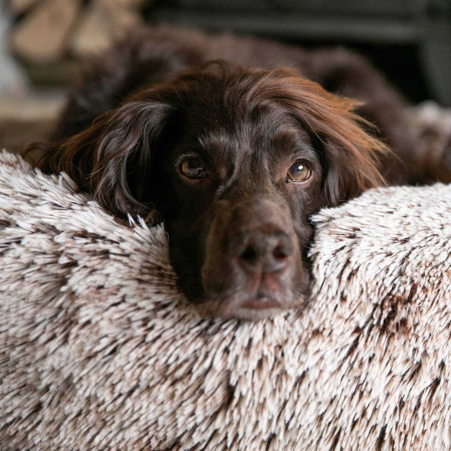 Hugo & Hudson Calming Dog Bed
