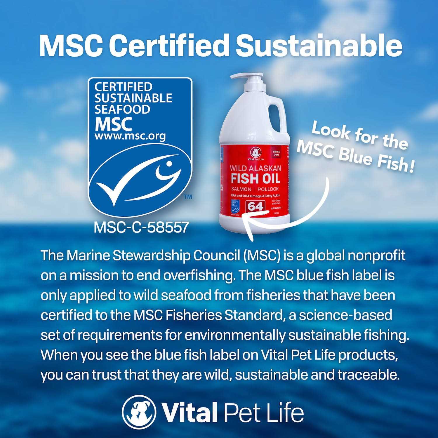 Vital Pet Life Fish Oil for Dogs