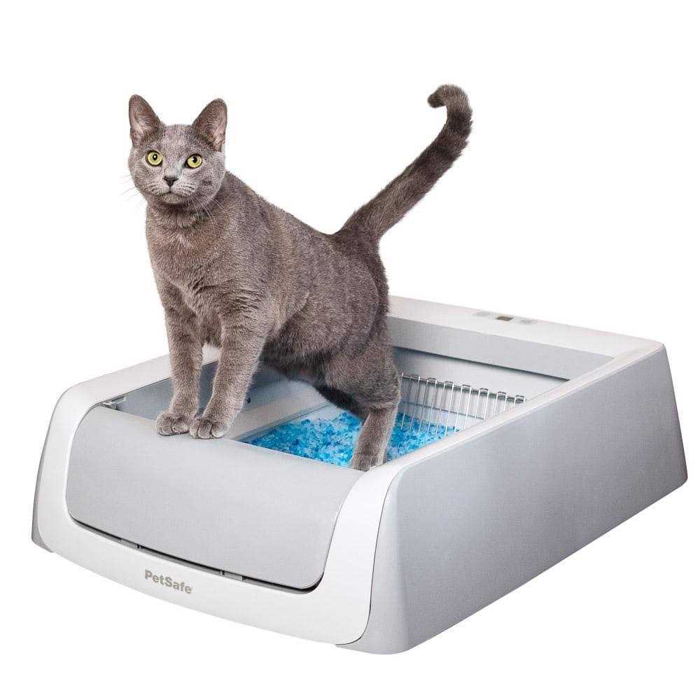 PetSafe ScoopFree Self-Cleaning Cat Litter Box