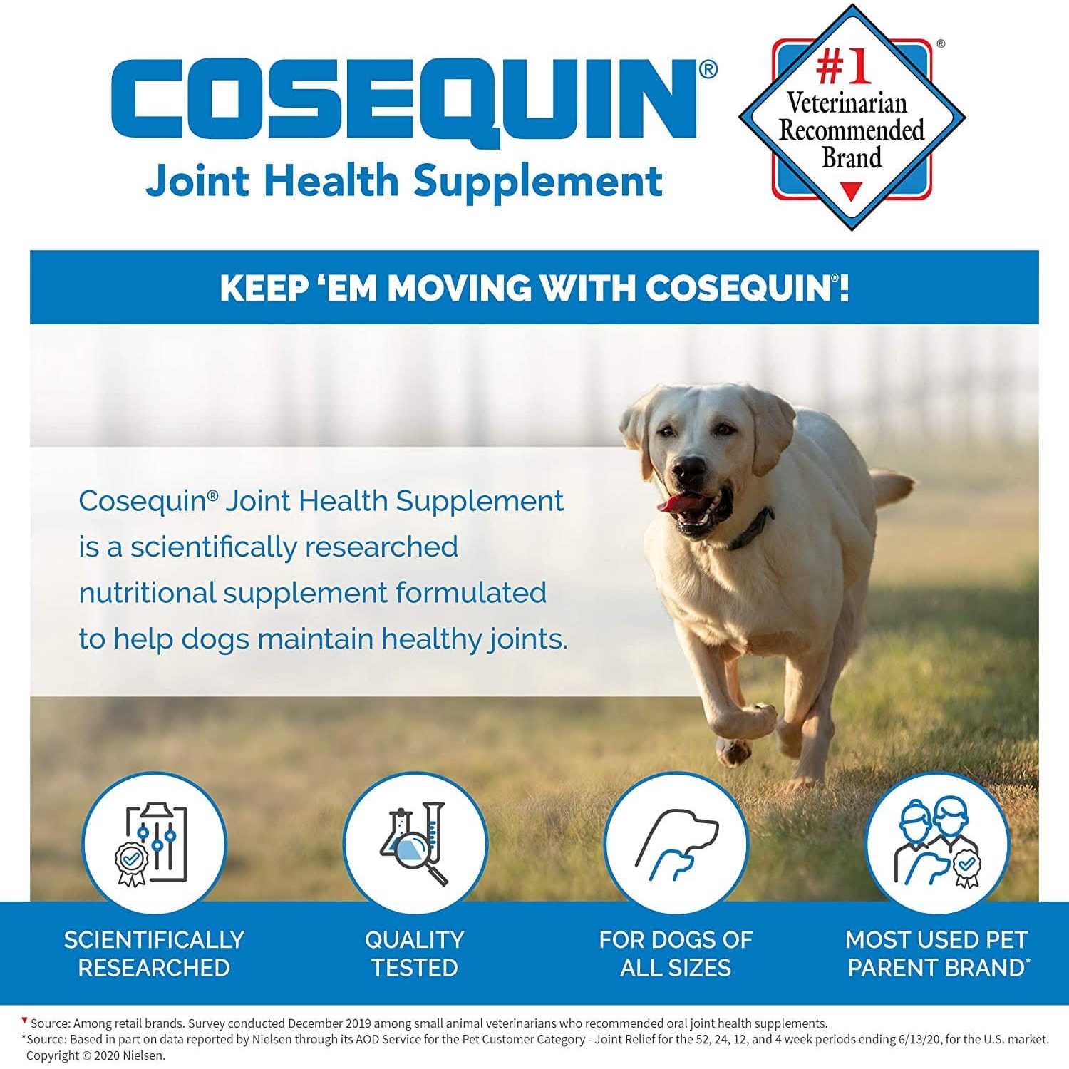 Cosequin DS Chewable Tablets for Dogs