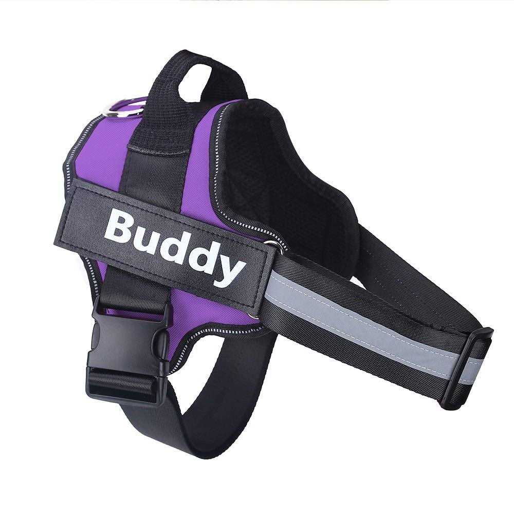 PawPawify Lifetime Warranty Personalized Easy-On No Pull Dog Harness