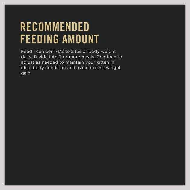 Purina Pro Plan Grain Free Pate Wet Kitten Food