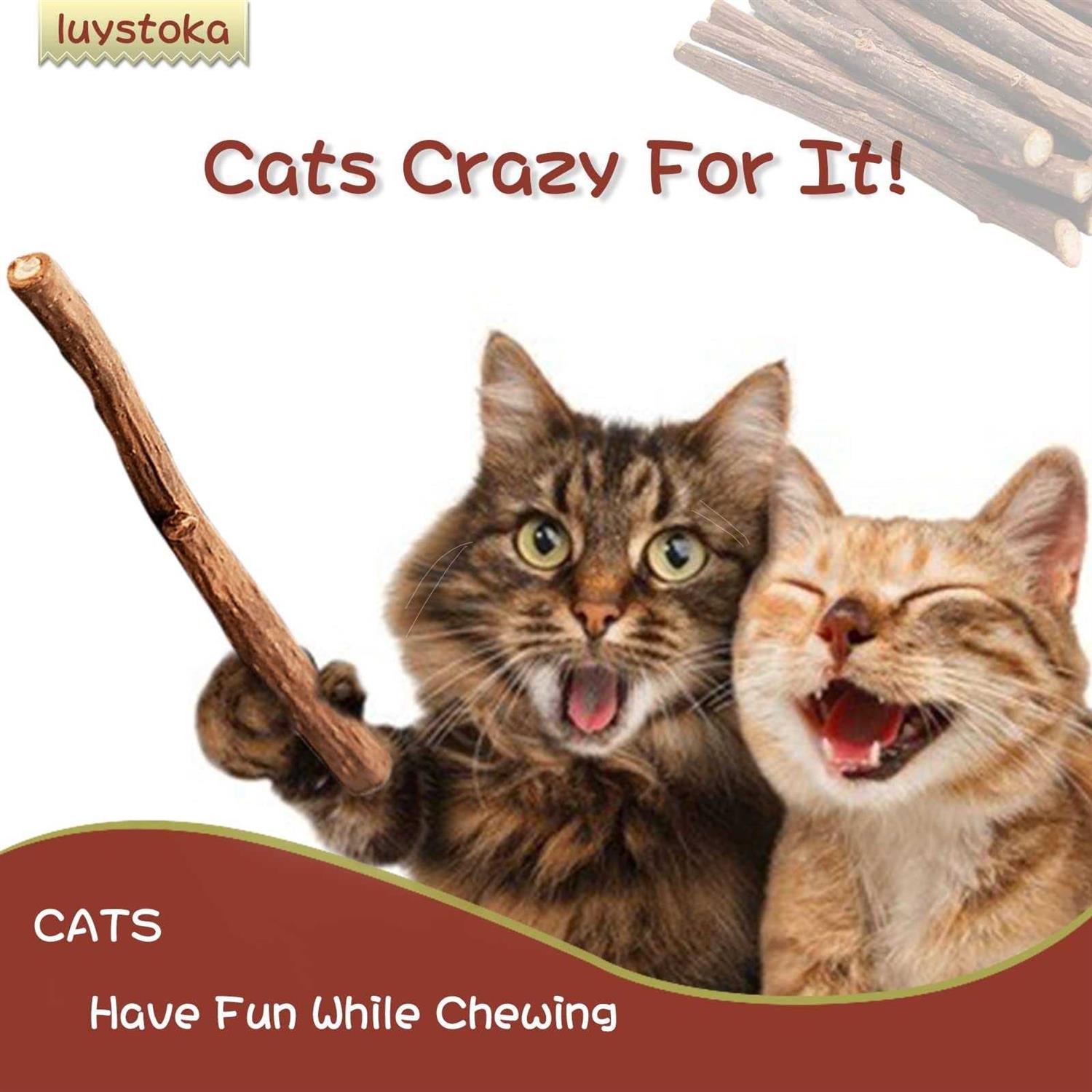 Luystoka 30pcs Kitten Toys Catnip Toys Matatabi Silvervine Sticks Kitty Chew Toys Wooden Stick Kitten Teething Toys Molar Suitable for Cats of All