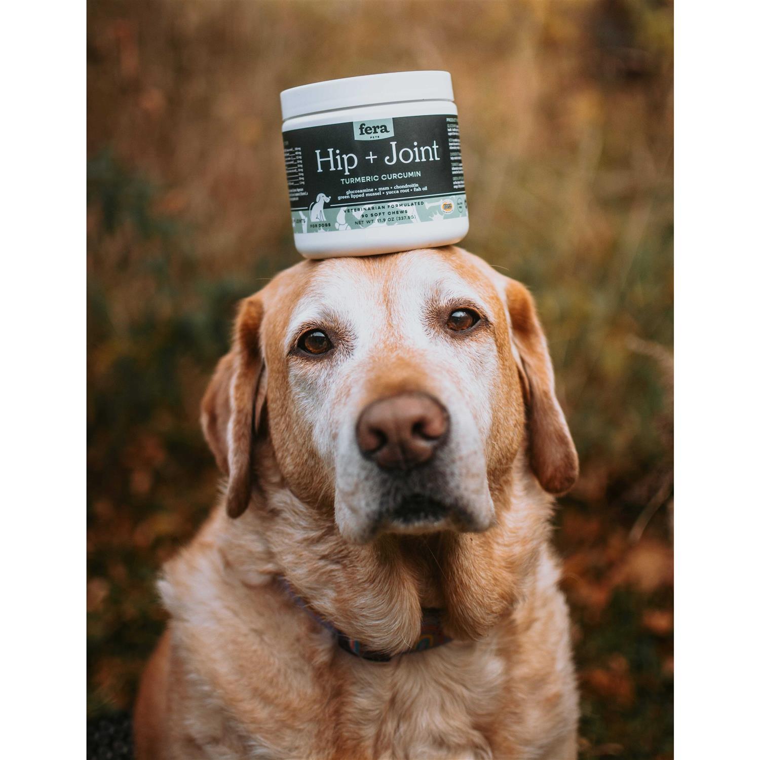 Fera Pet Organics Hip & Joint Soft Chew Dog Supplement