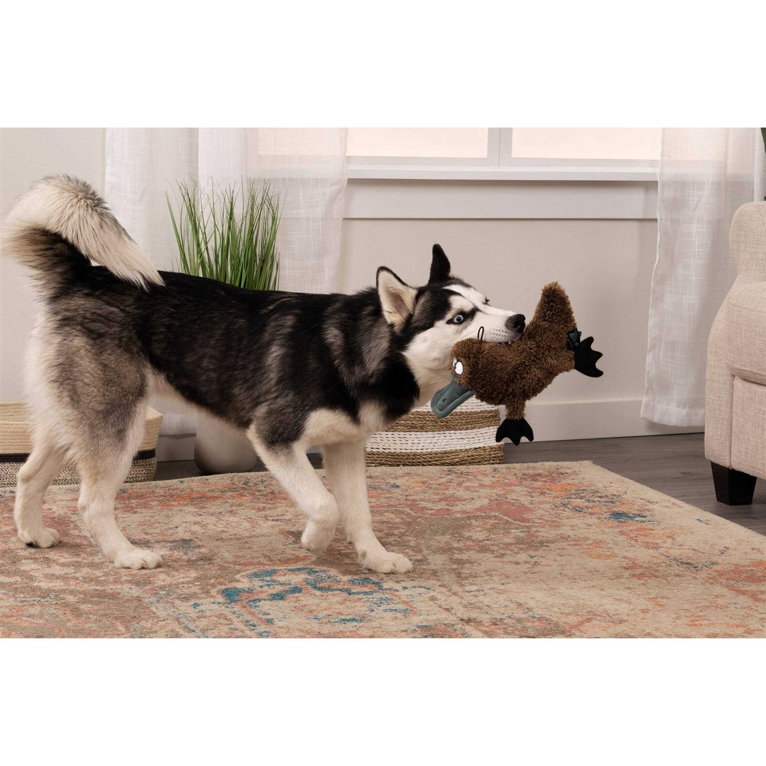 TrustyPup Platypus Dog Toy