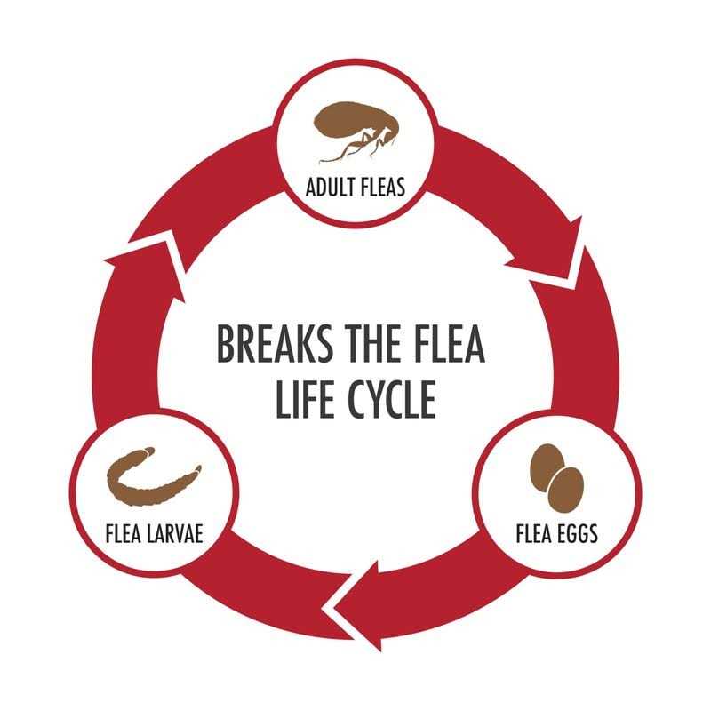 Advecta Topical Treatment for Dogs