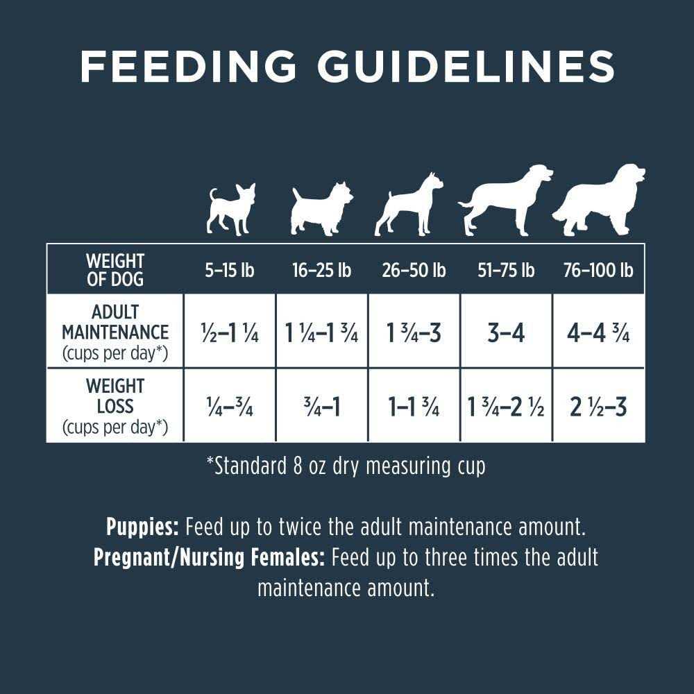 Instinct Raw Boost Whole Grain Real Lamb & Oatmeal Dry Dog Food