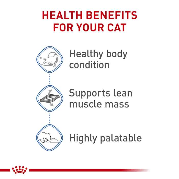 Royal Canin Feline Weight Care Thin Slices in Gravy Canned Adult Wet Cat Food Multipack