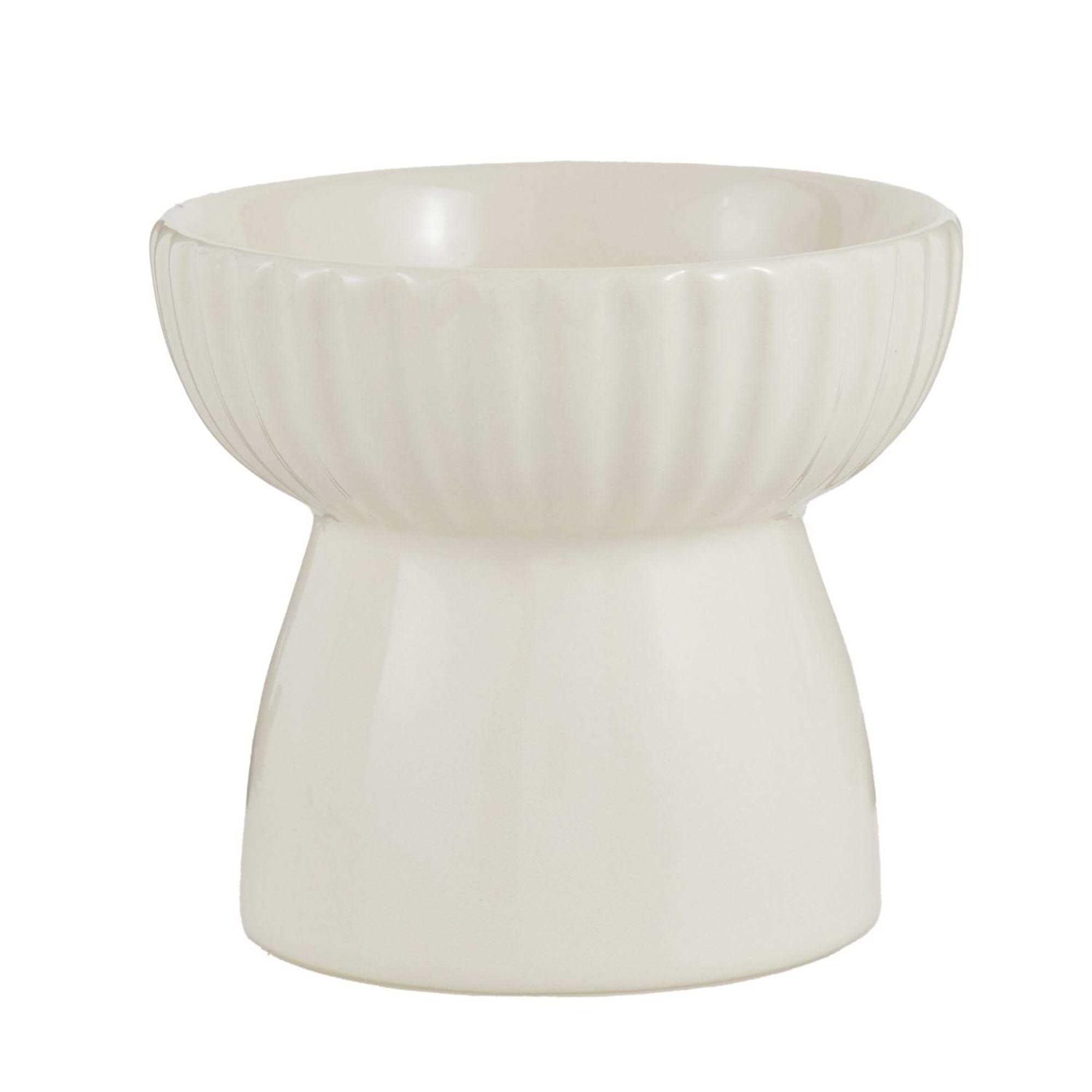 Whisker City Boho Ivy Raised Cat Bowl