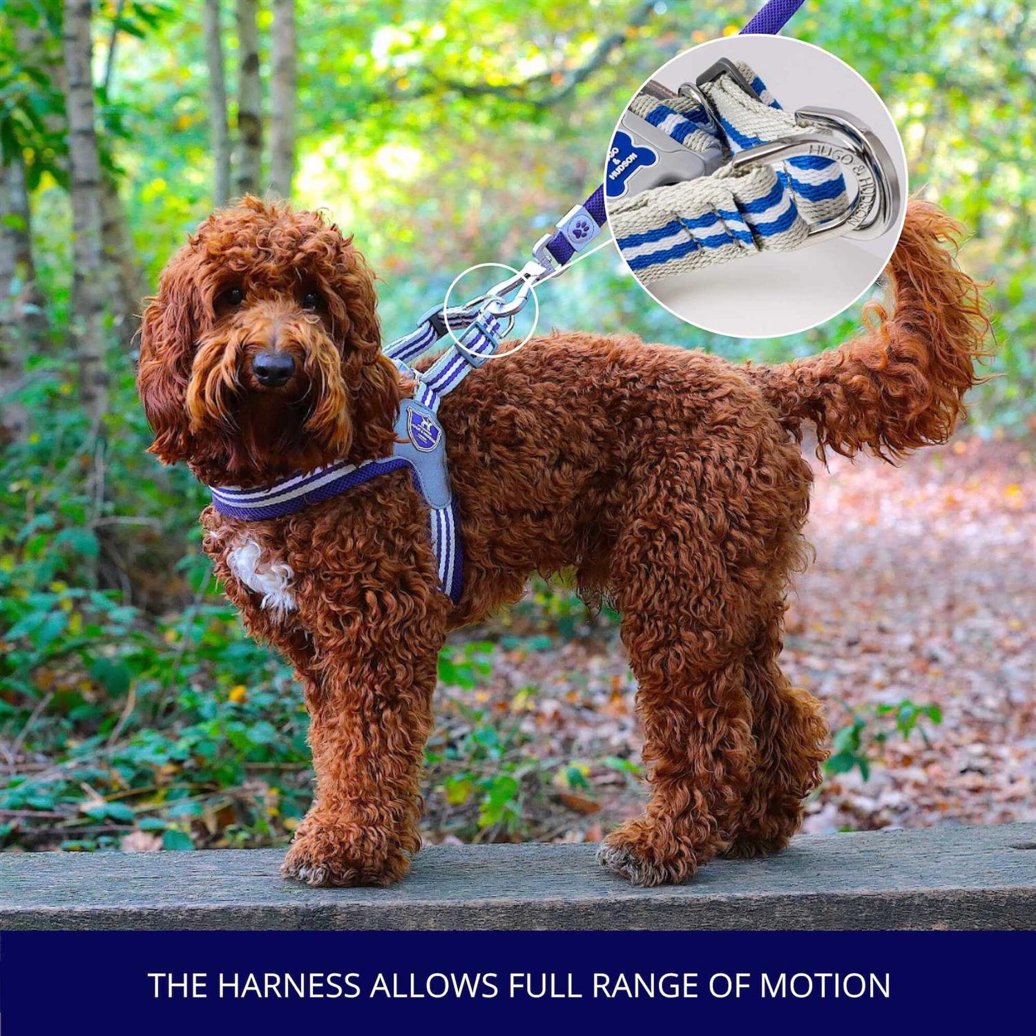 HUGO & HUDSON Easy Walk V Dog Harness