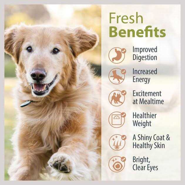 JustFoodForDogs Pantry Fresh Beef Chicken Variety Pack Dog Fresh Food