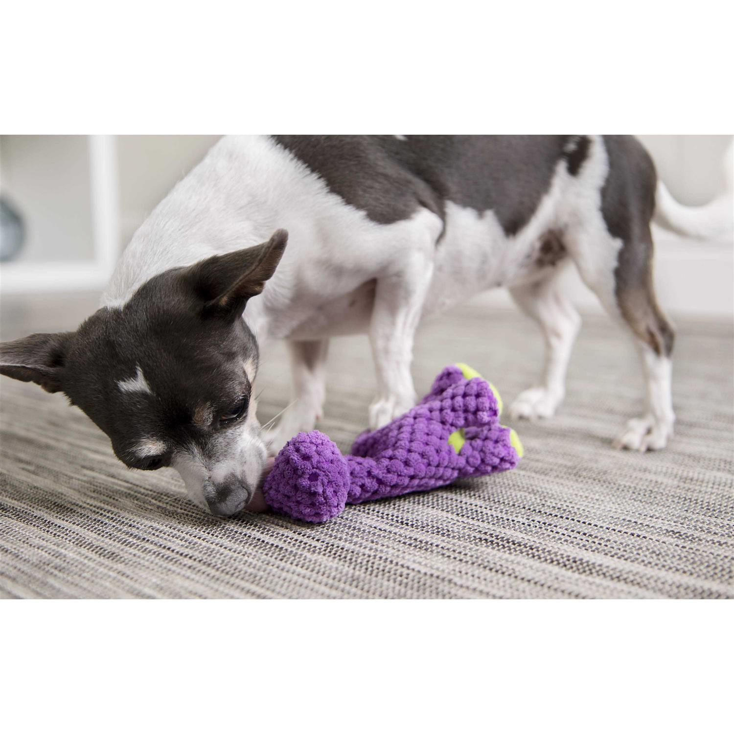 goDog Checkers Just For Me Dinos Bruto Squeaky Plush Dog Toy