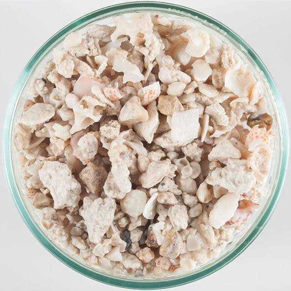 CaribSea Geo-Marine Florida Crushed Coral
