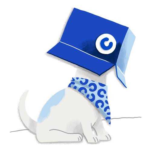 Ourpets Sushi Interactive Puzzle Game Dog Toys & Cat Toys Great Alternative to Snuffle Mat for Dogs