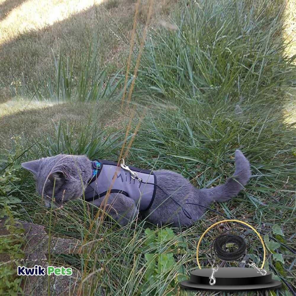 Coastal Poly Cat Tie Out