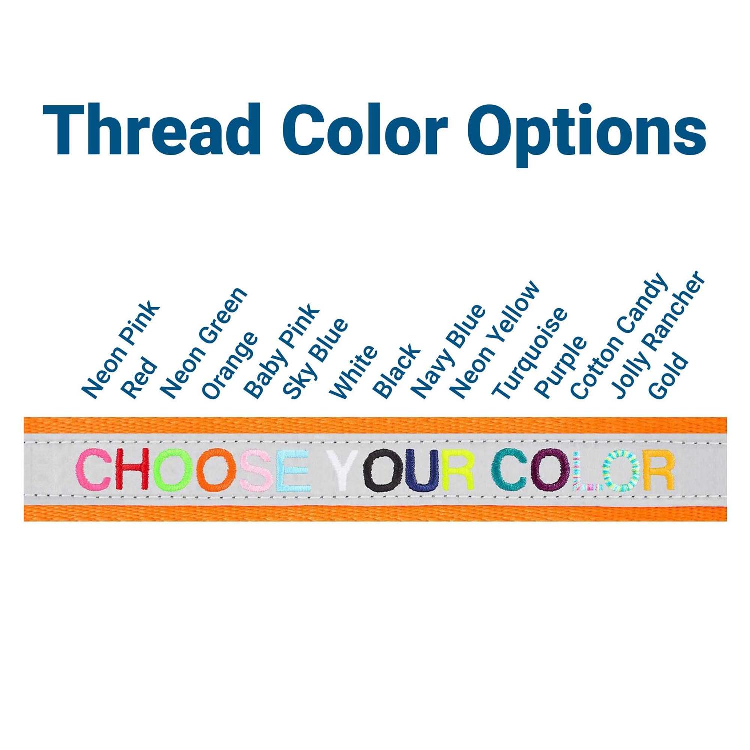 GoTags Nylon Personalized Dog Collar