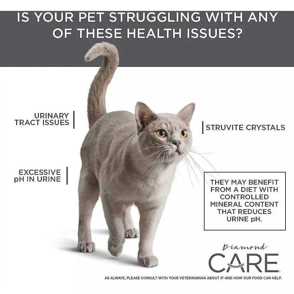 Diamond Care Urinary Support Formula Adult Dry Cat Food