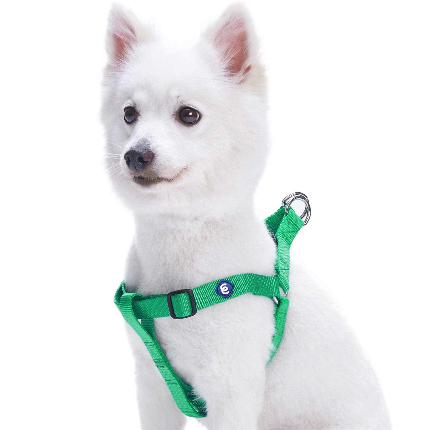 Blueberry Pet Essentials Classic Durable Solid Nylon Step-In Dog Harness