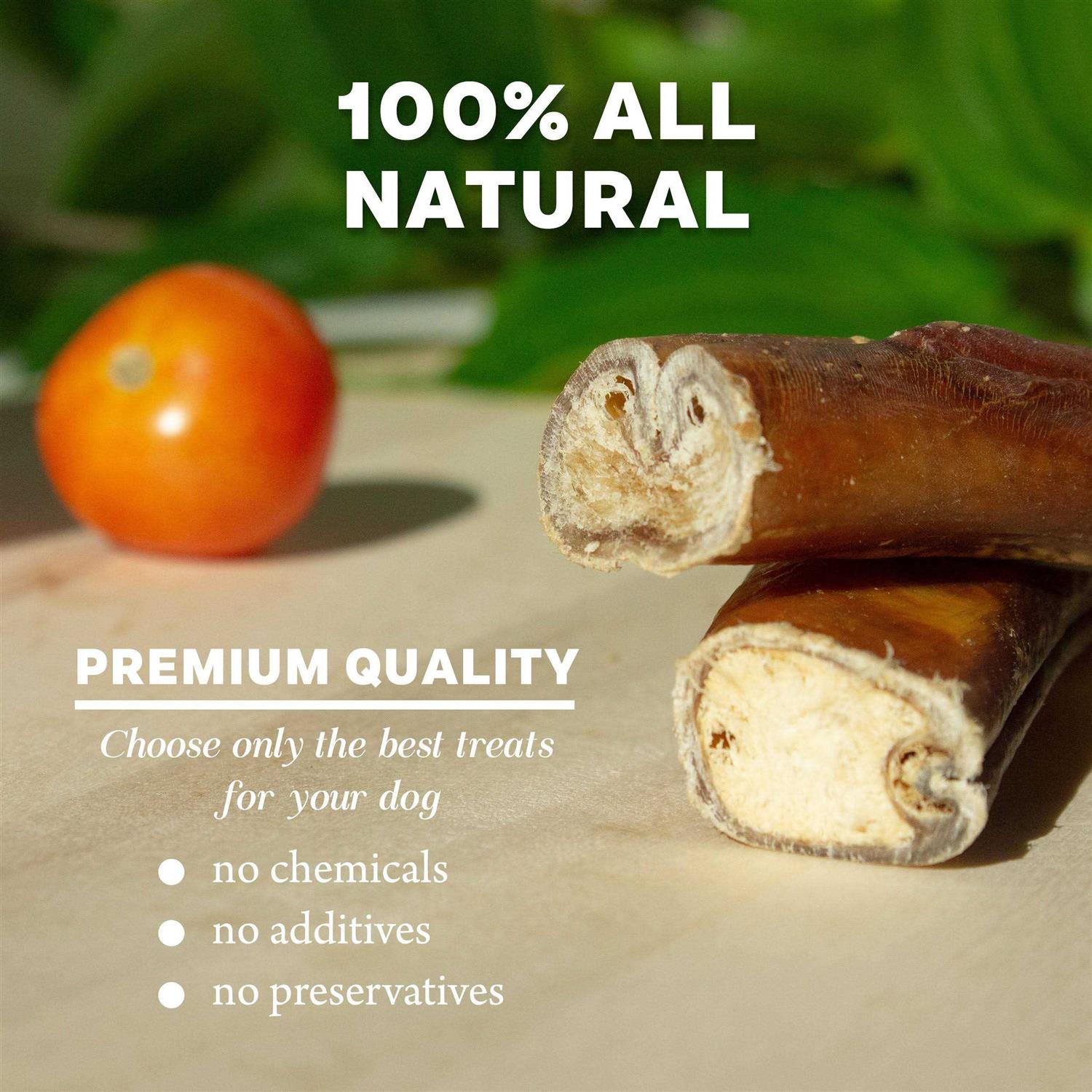 Downtown Pet Supply Bully Sticks For Dogs Thick Rawhide Free Dog Chews