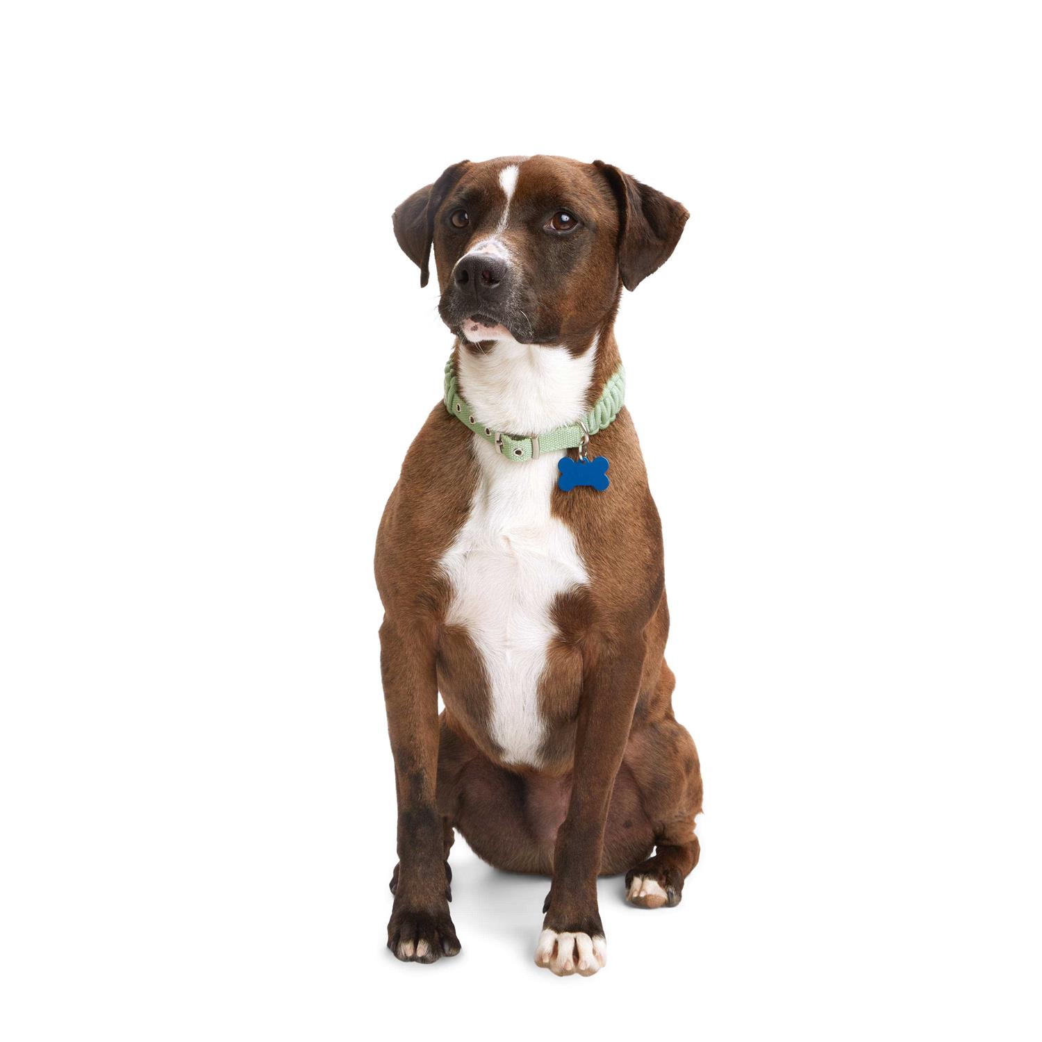 Youly Macrame Dog Collar