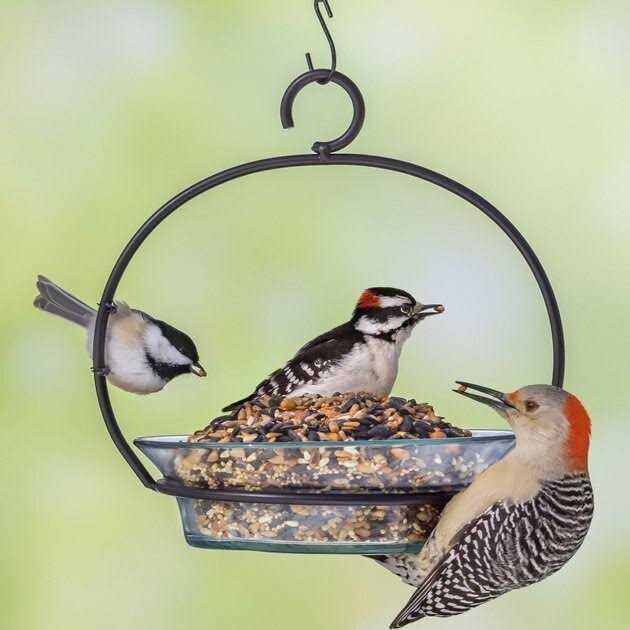 Melody Select Hot Pepper Blend Bird Food 14059