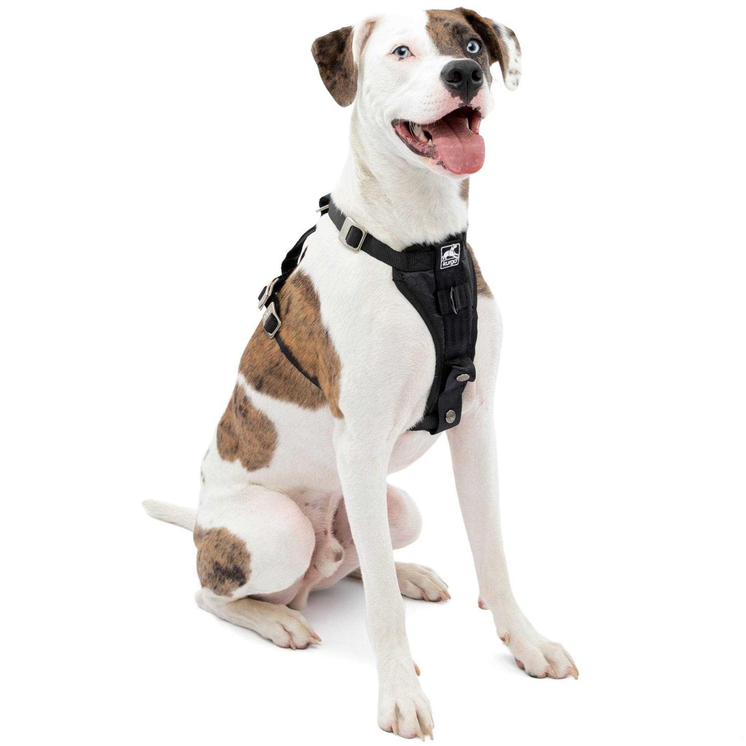 Kurgo Tru-Fit Enhanced Strength Smart Dog Harness