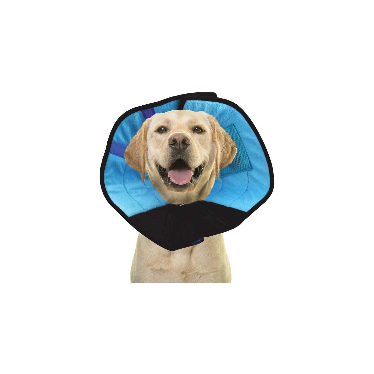 Calm Paws Cat Caring Collar w/ Calming Disk