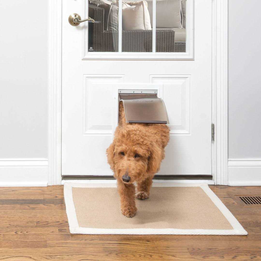 PetSafe Aluminum Freedom Pet Door