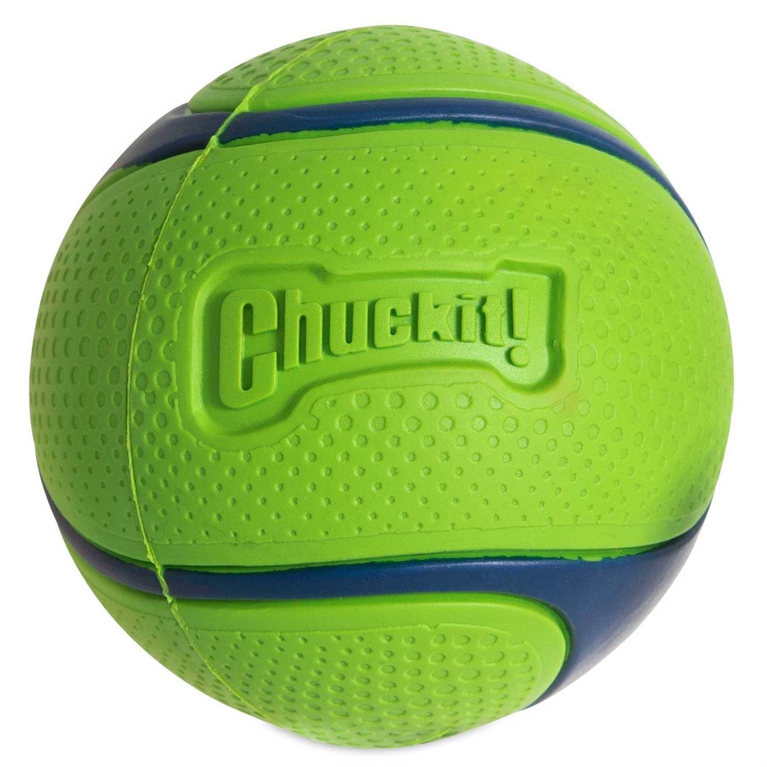 Chuckit! Sniff Fetch Ball Dog Toy