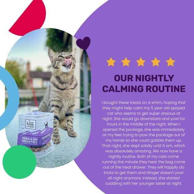 I and love and You Meow and Zen Hearties Cat Treats