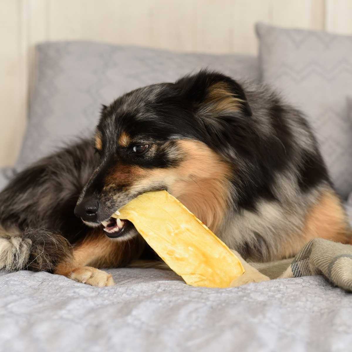 Purina Veterinary Diets Dental Chewz Dog Treats