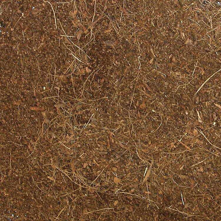Zoo Med Eco Earth Loose Coconut Fiber Substrate
