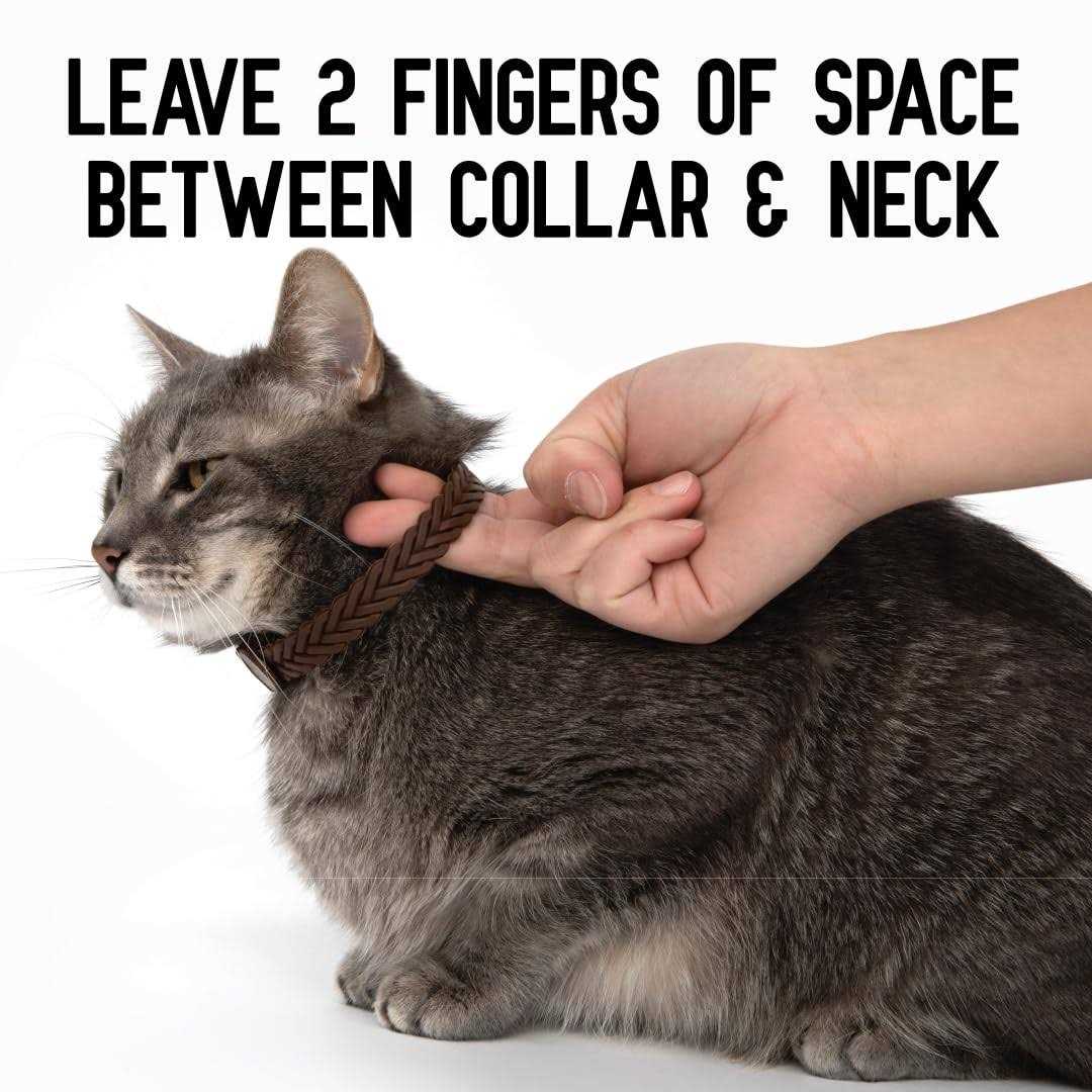 ActivPhy Hip + Joint Mobility Collar for Cats